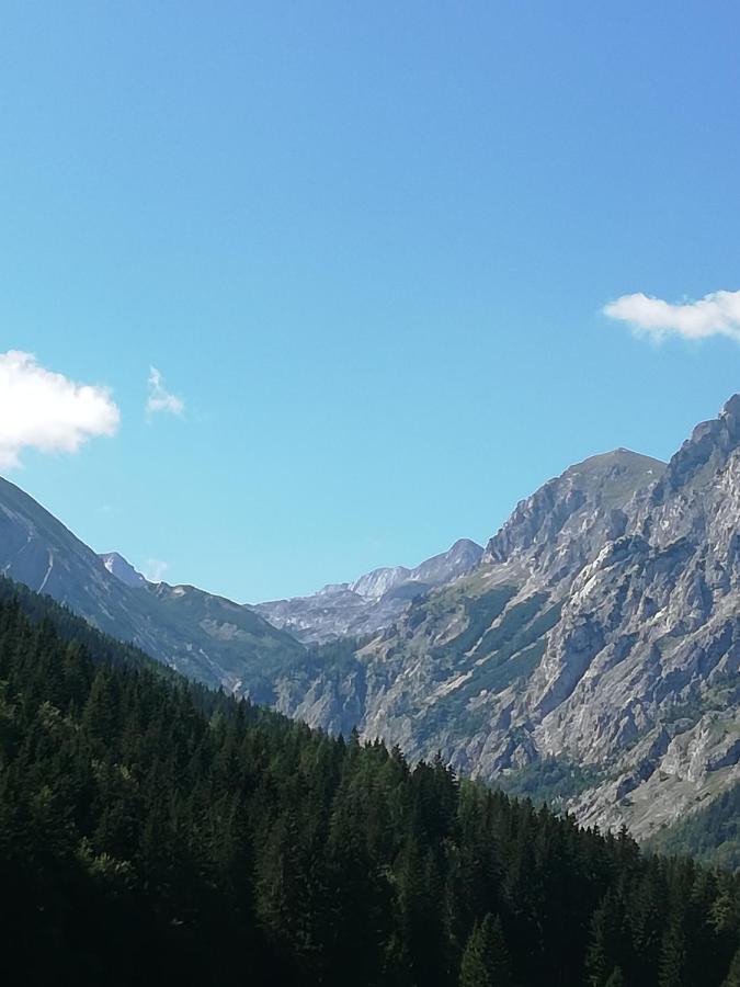 Fruehstueckspension Seeberghof Seewiesen Exteriér fotografie