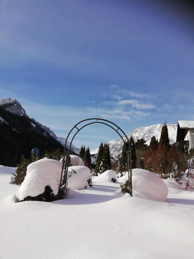 Fruehstueckspension Seeberghof Seewiesen Exteriér fotografie